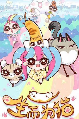 砀山seo优化哪家好